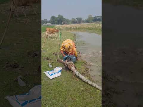 বাহুবলি 3 #vairalvideo #funny #reels