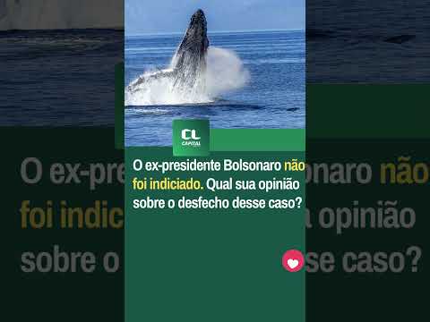 PF encerra investigação: Bolsonaro não “importunou” baleia jubarte #bolsonaro  #baleiajubarte  #br