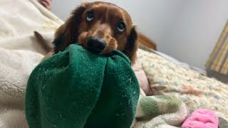ド深夜は世界を貸し切りにしている気持ちになるよな！