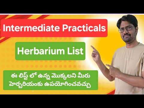 Intermediate Botany Practicals Herbarium List || ఈ మొక్కలని లిస్ట్ మీరు చెక్ చేసుకోండి