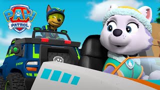 Chase salva Danny X e algumas tartarugas que estavam a pedir boleia! 🐢 | Patrulha Pata | PAW Patrol