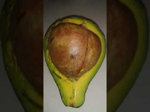 5 personnes qui se sont faites arnaqués