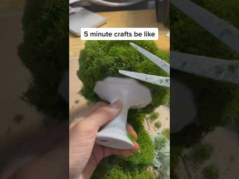 This one was really popular 🤣 #fiveminutecrafts