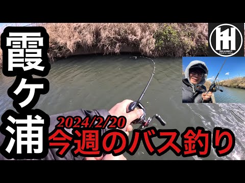 バス釣り今週の霞ヶ浦！2025年2月20日