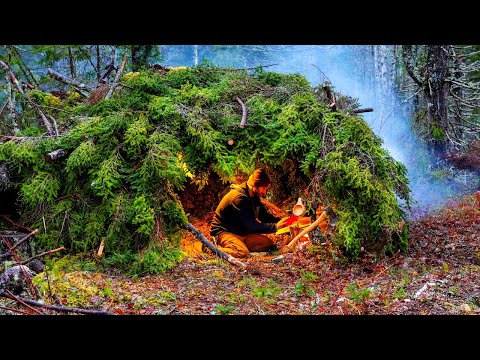 Bushcraft Survival Shelter Camping In Rain