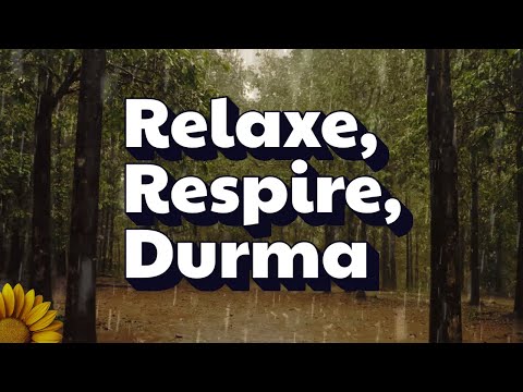 FANTÁSTICO e RELAXANTE BARULHO de CHUVA para DORMIR Naturalmente