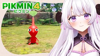 全員養えるかな！？【ピクミン4体験版｜飯田こぱん｜JPVtuber】