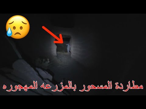مطاردة المسحور داخل مزرعه مهجوره!!!