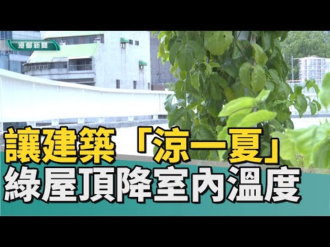 綠化補助｜綠屋頂讓建築「涼一夏」 有效降低室內溫度 - YouTube