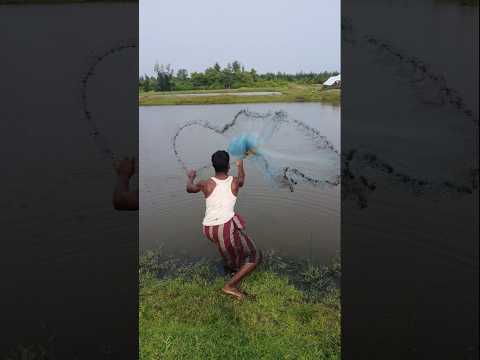 Amazing fishing #short #shorts