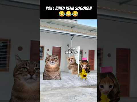 Pov : Juned Di Sogok 🤣 #meme #cat #kucing #animation #funny