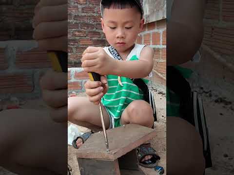 Make bird nests short video