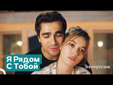 Мы Всегда Будем Рядом | Зимородок