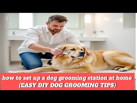 How to set up a dog grooming station at home ( easy diy dog grooming tips)