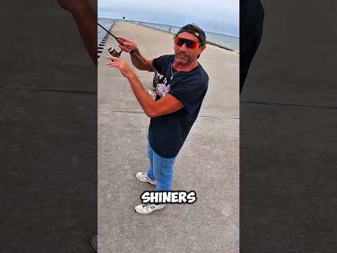 Bait For Days! #fishing #shorts
