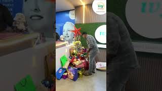 Merry Christmas 2025 | Spreading Joy, Peace & Festive Vibes 🎄✨