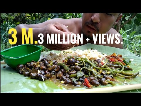 Catch snail cook with maize and eat in naga style.