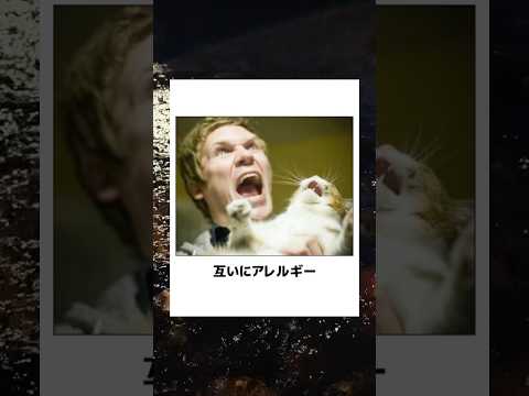 【猫】殿堂入りボケてに廃人が全力でアフレコしてみたw【第9弾】 #ボケて #アフレコ #猫