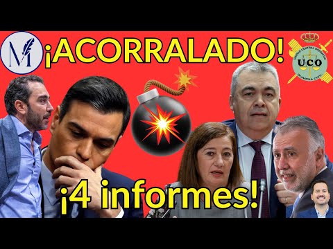 💣¡EXCLUSIVA!💣La UCO prepara cuatro nuevos informes que acorralan a Sánchez