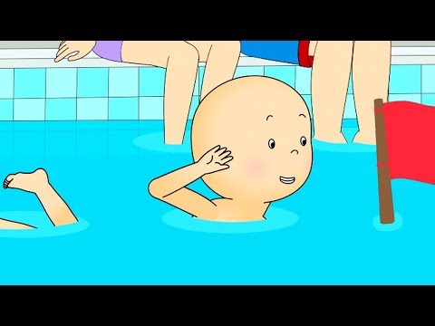 Caillou Aprende a Nadar Crol | Caillou en Español Castellano