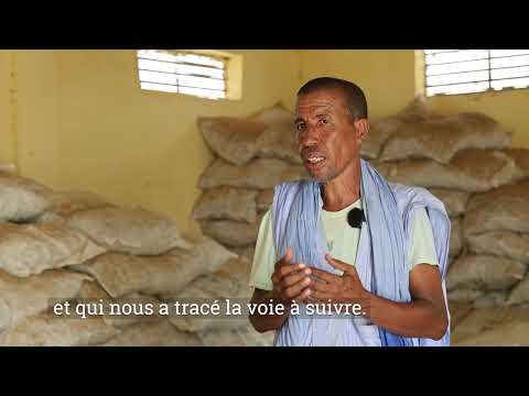 En Mauritanie: Des magasins qui sauvent bétail et communautés