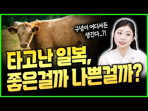365일 소처럼 일이 끊임없는 당신! 일복 터지면 마냥 좋다고 봐야할까? 삶의 결과로 돌아오는 X이 있다..?!