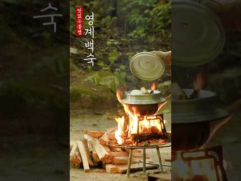 영계백숙 #캠핑브이로그 #캠핑asmr #camping #캠핑