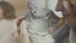Purina Pro Plan. Ваш питомец - наше вдохновение!
