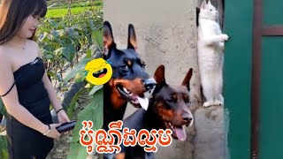 Funny Ep 03/ ប៉ុណ្ណឹងល្មម