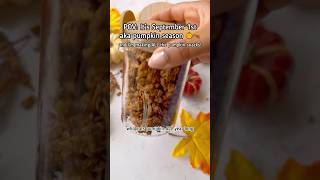 The Pumpkin Snacks I Make Every Fall (Vegan & Gluten-Free) 🎃🍂 #pumpkin #vegansnack #highprotein