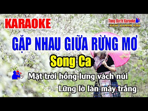 Karaoke || Gặp Nhau Giữa Rừng Mơ ( Song Ca ) Nhạc Sống Tùng Bách