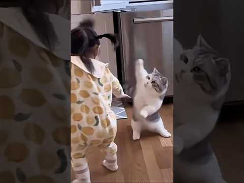 ネッコさん見て癒やされたら寝ろwww #動物 #ネコ