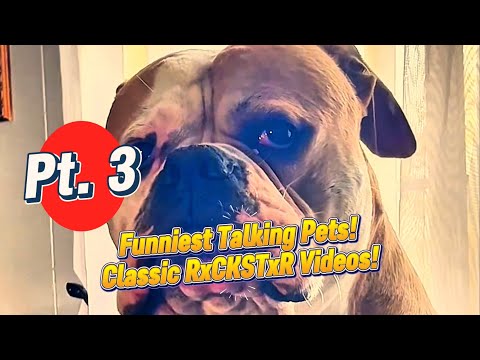 Absolutely The Funniest Talking Pet Videos Pt 3! Classics By RxCKSTxR