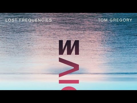 Lost Frequencies & Tom Gregory - Dive (Official Audio)