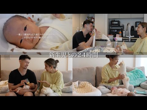 新しくスタートした”４人の生活”Vlog♡