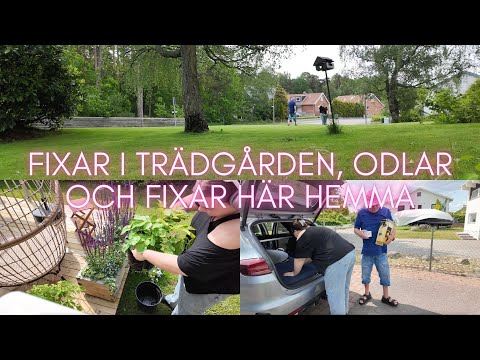 KÖPER EXAMENSPRESENT ÅT MIN SYSTER, HITTAR EN STEKHÄLL PÅ REA OCH PAPPA ÄR HEMMA - Vlogg