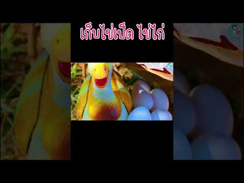อาโอะเรนะไปเที่ยวบ้านคุณยาย เก็บไข่เป็ด ไข่ไก่