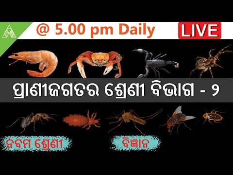 🔴Aveti Live Class-IX|4th May| ପ୍ରଣୀଜଗତର ଶ୍ରେଣୀ ବିଭାଗ-2|Animal Kingdom|Class 9 SCL