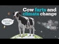 Impact of Cows on Climate Change and Solutions