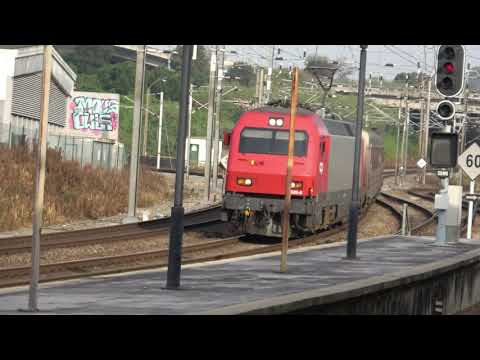Train Rush Hour In Campolide, CP And Fertagus Trains Action, Diesel-Electric Loco To Carcavelos
