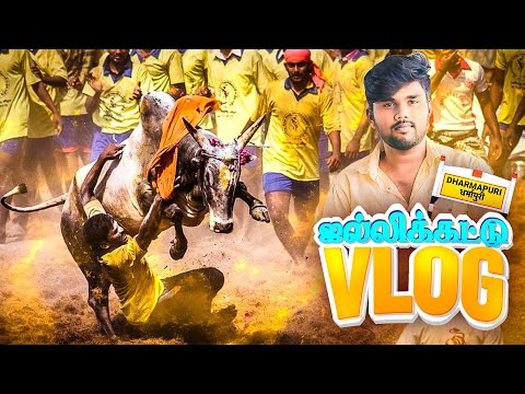 தர்மபுரி- 2025 🤯 ஜல்லிக்கட்டு Vlog 😍 | SKT TAMIL