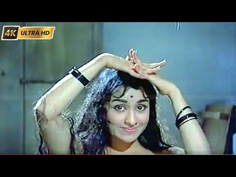 தேன் மழையிலே மாங்கனி நனைந்தது பாடல் | Then Mazhaiyile Mangani song | P. Susheela | Moondru Deivangal