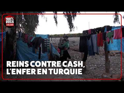 Traffic de reins pour les exilés syriens en Turquie
