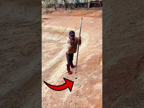 Este homem está salvando a vida de um crocodilo!! 😱🐊