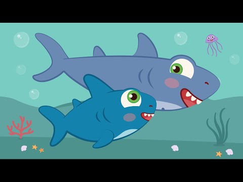 Tiburón Bebé 🐬 (BABY SHARK) y más canciones divertidas ☁️🦁☁️