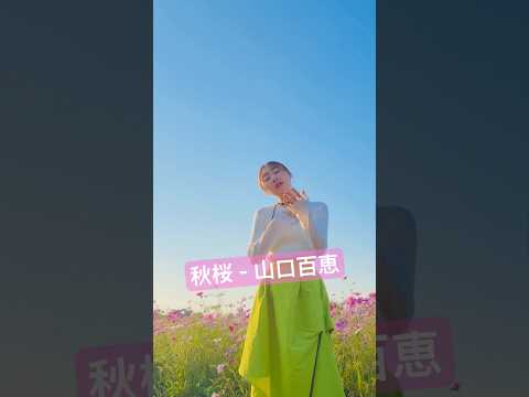 【秋の茨城で歌ってみた】秋桜 - 山口百恵 #acousticcovers #歌ってみた #cover #piano