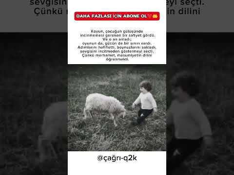 Bir koyun, çocuğun gülüşünde ne gördü dersiniz?♥️🥰