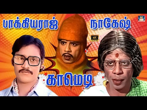 டேய் நீ பைத்தியக்காரனா | Bhakiyaraj Nagesh Comedy | Best Comedy | Tamil Comedy