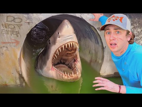 ¡Descubrí un túnel secreto lleno de peces peligrosos!