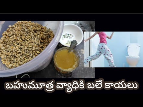 బహుమూత్ర వ్యాధితో బాధపడేవారికి బలే కాయాలు ఈ చిన్న కాయలు|| ayurved remedy for frequent urination